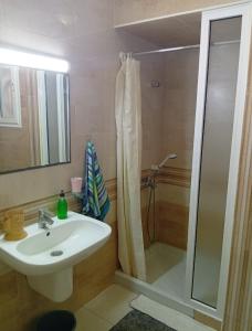 een badkamer met een wastafel en een douche bij Stanislava House in Sfax +7 foto's