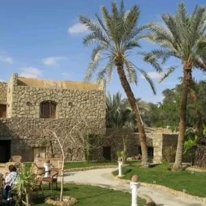 a stone building with two palm trees in front of it at Old Oasis Hotel for Safari Trips in Az Zabū