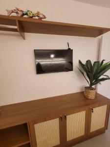 a shelf with a television on a wall with a plant at Praia do Rosa Park Studio in Guarapari