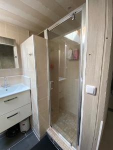 ein Badezimmer mit Dusche und Waschbecken in der Unterkunft Maison chaleureuse en pleine campagne in Saint-Savinien + 4 Fotos