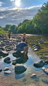 Naturlandskabet i nærheden af chaletet + 15 billeder