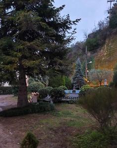 a park with a tree and a bench in the grass at The Cozy Residence in Veria