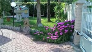 a garden with purple flowers and a fence at B&B Amurri Domenica in Grottammare