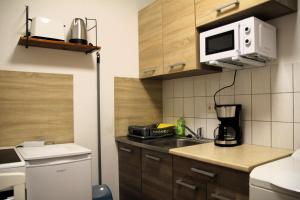 a small kitchen with a sink and a microwave at Pension963 in Crimmitschau