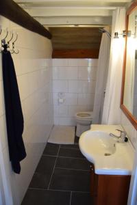 uma casa de banho com um lavatório e um WC em t Appelstekje em Appeltern