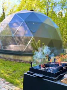 a bbq grill with a blue umbrella on it at Tyla Dviese in Bendoriai