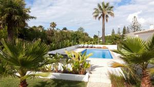una villa con piscina e palme di Casa dos Pelargónios a Luz