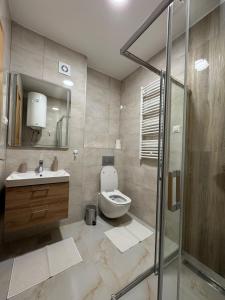 een badkamer met een toilet, een wastafel en een douche bij Kalisi Panorama Tornik in Zlatibor