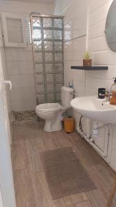 un bagno con un water e un lavandino di Villa Tilo a Sainte-Anne Altre 4 foto