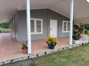 a gray house with potted plants on a porch at Villa Tilo in Sainte-Anne