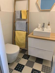 een badkamer met een wit toilet en een wastafel bij La Bulle d Avenir in Corcieux +19 foto's