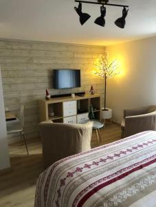 een hotelkamer met een bed en een televisie bij La Bulle d Avenir in Corcieux