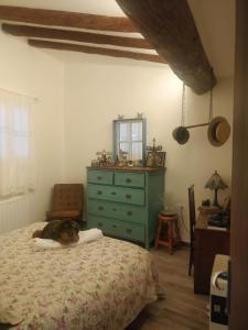 een slaapkamer met een bed met een ladekast en een spiegel bij Ramon del Xalet in Ibars de Noguera +19 foto's