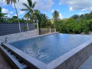 a large swimming pool in a backyard with trees at Le Refuge de Nicolas in Quartier Morne Acajou