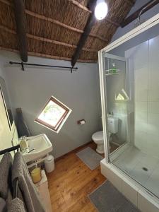een badkamer met een glazen douche en een toilet bij The Little Thatch Cottage in Greyton