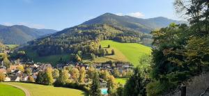 a village in a valley with mountains in the background at Ferienwohnung Bachklang Oberprechtal in Elzach