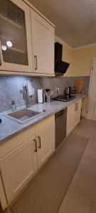 een keuken met witte kasten en een spoelbak bij Ferienwohnung Bachklang Oberprechtal in Elzach +8 foto's