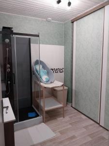 une salle de bain avec douche et baignoire dans l'établissement Country apartment, à Orgelet