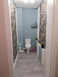 - une salle de bains avec toilettes dans une chambre aux murs bleus dans l'établissement Country apartment, à Orgelet 7 autres photos