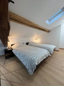 een slaapkamer met twee bedden in een kamer bij Studio in Amblagnieu