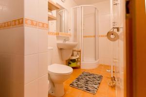 a bathroom with a toilet and a sink at Boží Dar 95 in Boží Dar