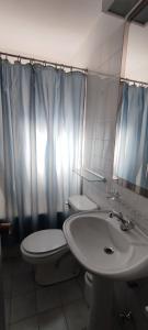 een badkamer met een toilet, een wastafel en een douchegordijn bij Hotel Thayer in Santiago