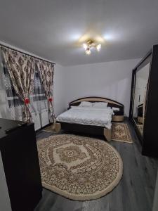 een slaapkamer met een bed en een groot tapijt bij Acasă la Elias in Breb