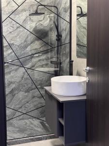 een badkamer met een wastafel en een douche bij LuRo Loft Otopeni in Otopeni +19 foto's