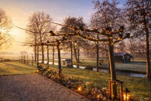 eine Reihe von Bäumen mit Lichtern auf einem Feld in der Unterkunft B&B De Oase in Bergambacht + 20 Fotos