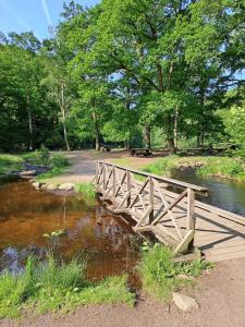 Billede fra billedgalleriet på Gustavsbo i Ljungbyhed