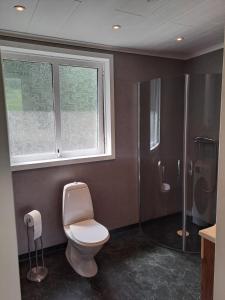 ein Bad mit einem WC, einem Fenster und einer Dusche in der Unterkunft Gustavsbo in Ljungbyhed