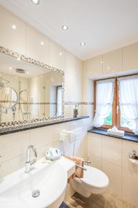 a bathroom with a sink and a toilet and a mirror at Hotel Alpspitz B&B in Grainau