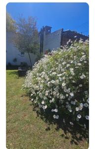 Photo de la galerie de l'établissement China, à Mar del Plata