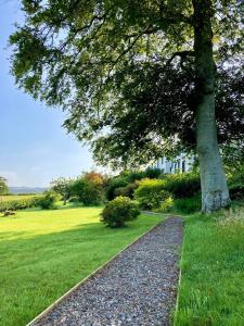 Ein Baum steht neben einem Gehweg in einem Park. in der Unterkunft Scale Hill Hotel in Loweswater