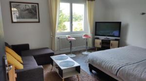 Et tv og/eller underholdning på Jardin appartement