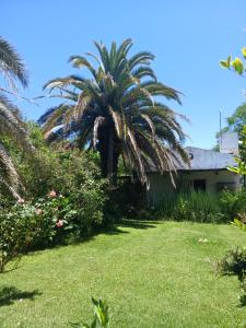 En have udenfor Quinta Las Ardillas lujan