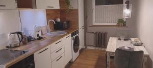 a small kitchen with a sink and a dishwasher at Savi sviit in Mooste