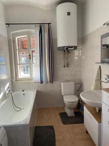 een badkamer met een bad, een toilet en een wastafel bij Apartmán Na Pavlači in Velký Třebešov