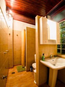 een badkamer met een wastafel, een toilet en een douche bij Casa Verde de Guía in Santa Maria de Guia de Gran Canaria +33 foto's