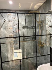 bagno con doccia e parete in vetro di Apartamenty Słowianka-Chatka pod lasem a Wolibórz Altre 72 foto