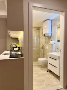een badkamer met douche, wastafel en toilet bij Residence 33 in Sarajevo +117 foto's
