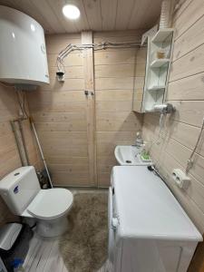 a bathroom with a toilet and a sink at Pasakų namelis in Svėdasai