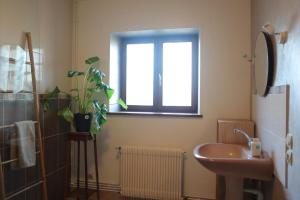 een badkamer met een wastafel en een raam bij Gîtes Le Gros Chêne in Meaucé +68 foto's