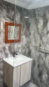 a bathroom with a sink and a mirror at Oryx guest house in Oakdale