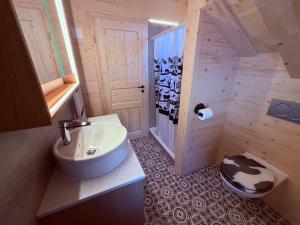 une salle de bain avec un lavabo et des toilettes dans une chambre dans l'établissement Staubbachbänkli, à Wengen 22 autres photos