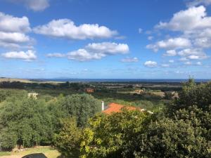 a view of a field with trees and a house at Prenda e Mare in Ottava Sassari