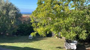 a chair sitting in a yard next to a tree at Prenda e Mare in Ottava Sassari
