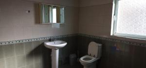 een badkamer met een wastafel en een toilet bij Villa Star in Tirana