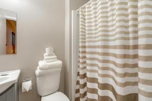 a bathroom with a toilet and a shower curtain at Ski, Explore, Bring Pets! Studio 5 Mi to Pine Knob in City in the Village of Clarkson +18 photos