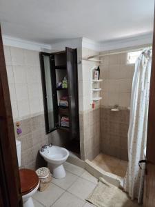 a bathroom with a shower and a toilet and a sink at Lo de Capra! in Santa Clara del Mar